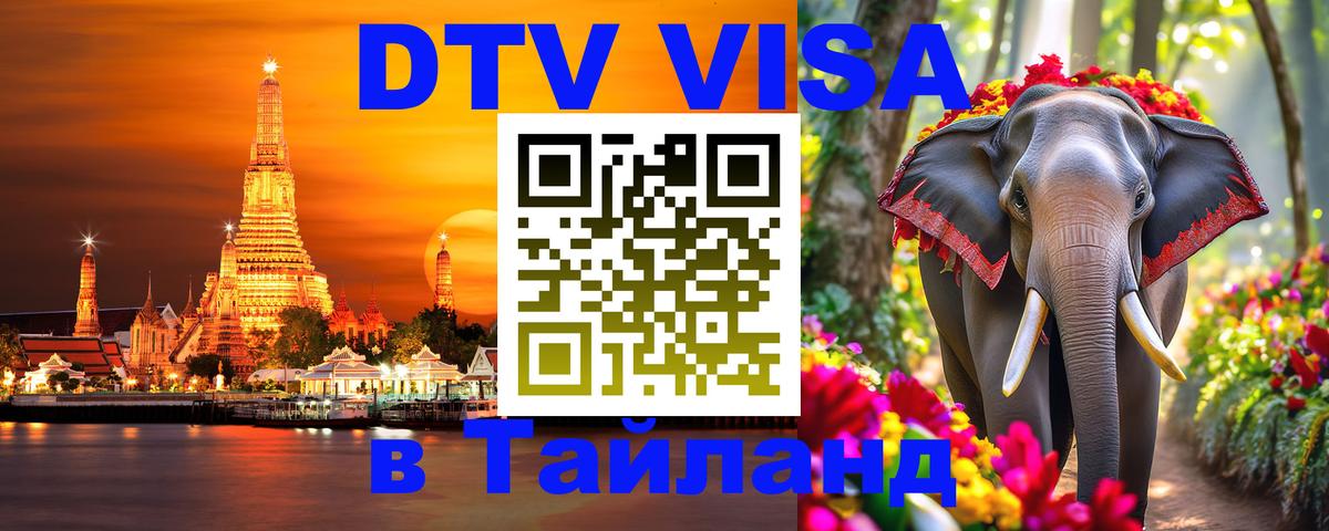 Оформление DTV визы под ключ: стоимость и тарифы, только загранпаспорт - Анкара  18.11.2025 